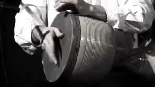                         محمدرضا مرتضوی                                دندنها