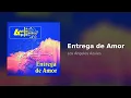 Los Ángeles Azules - Entrega De Amor (Audio)