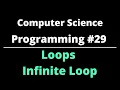 Computer Science Programming Infinite Loop