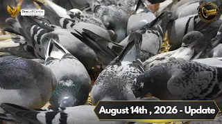 FPD UPDATE AUGUST 14th 2026