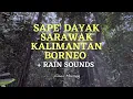 Download Lagu Lan E Tuyang (with rain sounds and thunder) - Sape dayak Borneo | Relaxing Calming Music | 30 mins
