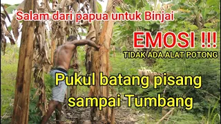 Download Pukul Pohon batang pisang sampai tumbang. #PUKULBATANG PISANG. MP3