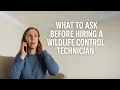What to Ask Before Hiring a Wildlife Control Technician Advice from a Pro