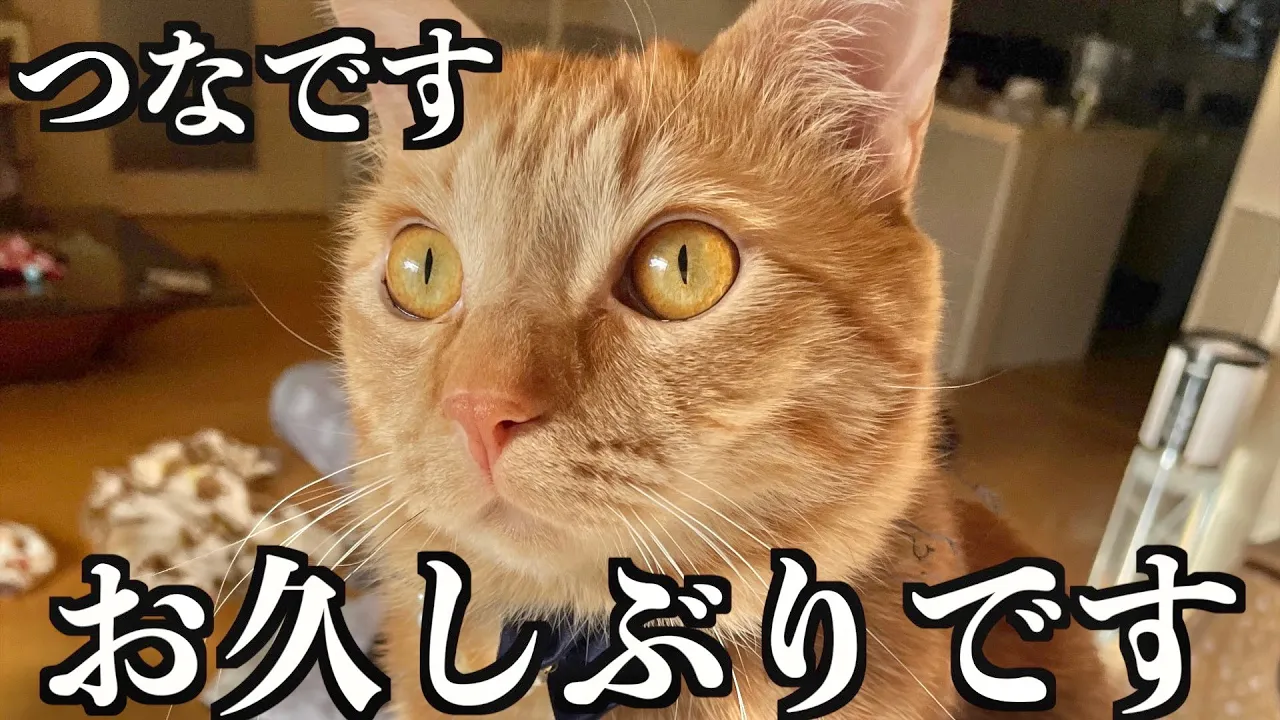 お久しぶりです。
