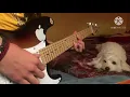 Love yourself - Justin Bieber-Electric-Guitar-Cover-2020🎸