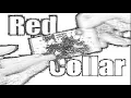 NEW SEASON Something Was Wrong - Red Collar