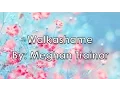 Download Lagu Walkashame - Meghan Trainor (Lyrics)