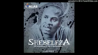 dr malinga ft beat movement shebeleza cover version 