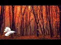 Download Lagu David Arkenstone (with The California String Quartet) - The Turning Of The Year [Fall Visualizer]