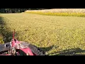 Tractor supply 6 County Line bush hog and TYM 35 HP tractor