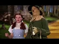 POLO & PAN - Dorothy (official video)