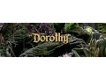 Download Lagu POLO \u0026 PAN - Dorothy (official video)