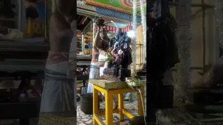                     دندنها
