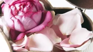 الله عليك   عامر منيب دندنها