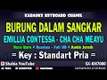 Download Lagu BURUNG DALAM SANGKAR KARAOKE CHA CHA MELAYU NADA PRIA