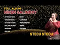 Download Lagu NIKEN SALINDRI FULL ALBUM TEBARU 2025
