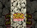 THE TOP TEN STRAINS OF ALL TIME