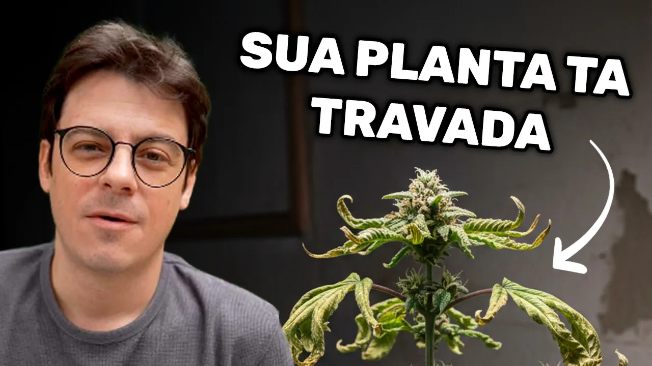 Por que Sua Planta Não Está Entregando Todo o Potencial?  | com Leco Biologia