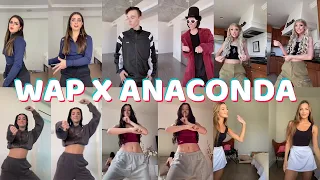 Download WAP VS ANACONDA TikTok Dance Challenge MP3