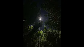 علي باب السيما امير عيد 