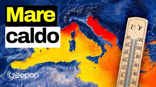 Il mare in Italia è un brodo? Vi raccontiamo cosa sta succedendo al Mediterraneo con i dati