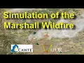 Simulation of the Marshall Wildfire