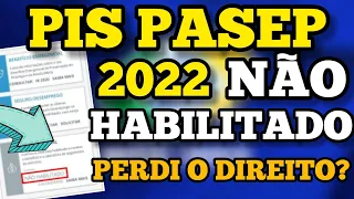 ✔PIS PASEP NÃO HABILITADO! PERDI O DIREITO DE RECEBER O ABONO SALARIAL?