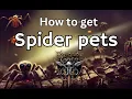 How To Get SPIDER PETS - Baldurs Gate 3