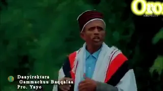 Oromo Music 2022 Arts Ararso Soolee 