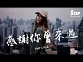 Ayo97 - 感謝你曾來過 ft.阿涵「高音質 x 動態歌詞 Lyrics」♪ SDPMusic ♪