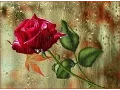 Download Lagu WHEN YOU TELL ME THAT YOU LOVE ME - (Julio Iglesias/Lyrics)