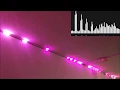 Raspberry Pi WS2812B LED strip music visualizer