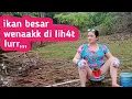 Download Lagu Jelas sekali kalau ikan nya penuh motif, mancing ikan mahal