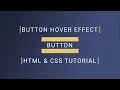 CSS Button Hover Effect Tutorial codecompanion93
