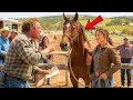 She Took In a Lame Foal the Kill Buyer Passed On It Became the Fastest Horse in the County