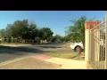 McAllen Housing