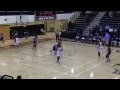 Brittanie Evans Basketball