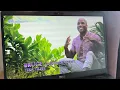Survivor 44 Final Three Based on the Premiere Episode Opening Potential SPOILER