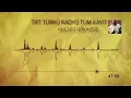 Hulusi Gökmeşe - Gördün mü Yıllar Geçmiş ( Trt Türkü Programı )