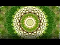 Download Lagu Globular - Entangled Everything (Album Mix) [Psychill / Psydub]