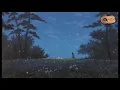 JP Saxe - A little bit yours (lyrics)