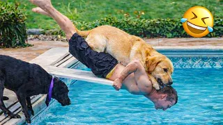 best animal videos 2026 funniest dogs u0026 cats you haven t seen yet