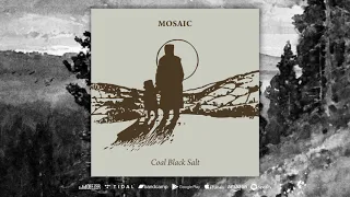 mosaic coal black salt official audio