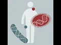 Microbiome Analysis 2023 06 Metatranscriptomics