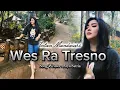 Download Lagu Wes Ra Tresno - Intan Mandasari