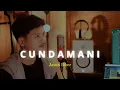 Download Lagu Cundamani - Denny Caknan - Jasun Biber Cover