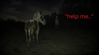 It First Stalked Her Farm Animals, Then It Lured Her.. | Top 10 Scary Videos