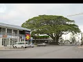 Download Lagu HA'APE TAINAMU 'A PAEA (TUNGUA) TALANOA HUA