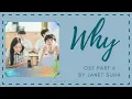Why Lyrics (Prod. by Nam Hye Seung (남혜승)  ||  Our Beloved Summer OST part 6 ||  Han|Rom|Eng