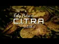Feby Putri (Cover) + (Lirik) || C.I.T.R.A - Citra Scholatiska